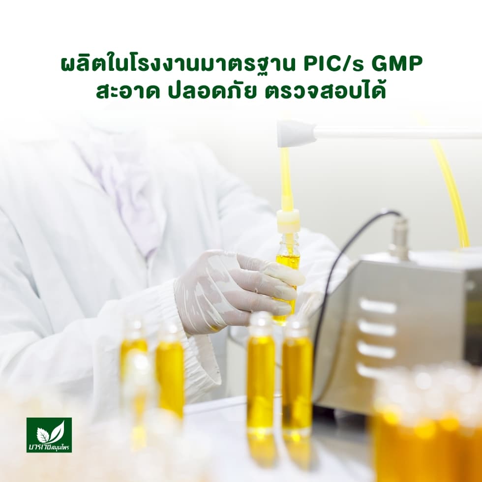 บวรเวชสมุนไพร น้ำมันว่าน 801 หัวลูกกลิ้ง 10 มล | บรรเทาปวดเมื่อย คลายเส้น แก้เคล็ดขัดยอก รูปที่ 8