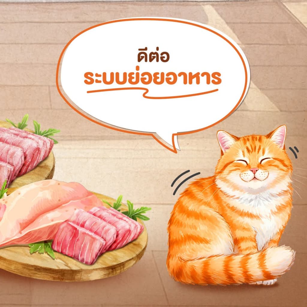 Cat N Joy อาหารแมว สูตรแมวโต อายุตั้งแต่1ปีขึ้นไป เน้นการดูดซึมที่ดี ทานง่าย ควบคุมความเค็ม รูปที่ 5