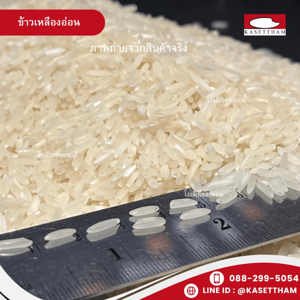 14 กก. ข้าวเหลืองอ่อน นุ่มฟูเย็นไม่แข็งไม่มีเม็ดหัก ข้าวสารตราส้มเขียวหวาน คุณภาพดีราคาโรงสี สั่ง 3 ถุงคุ้มค่าส่ง รูปที่ 5