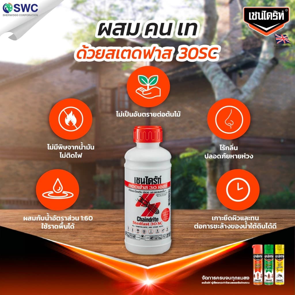 Chaindrite เชนไดร้ท์ สเตดฟาส 30 เอสซี ใช้ราดพื้นก่อนและหลังก่อสร้าง กำจัดปลวกและแมลง ขนาด 500 มล. รูปที่ 7