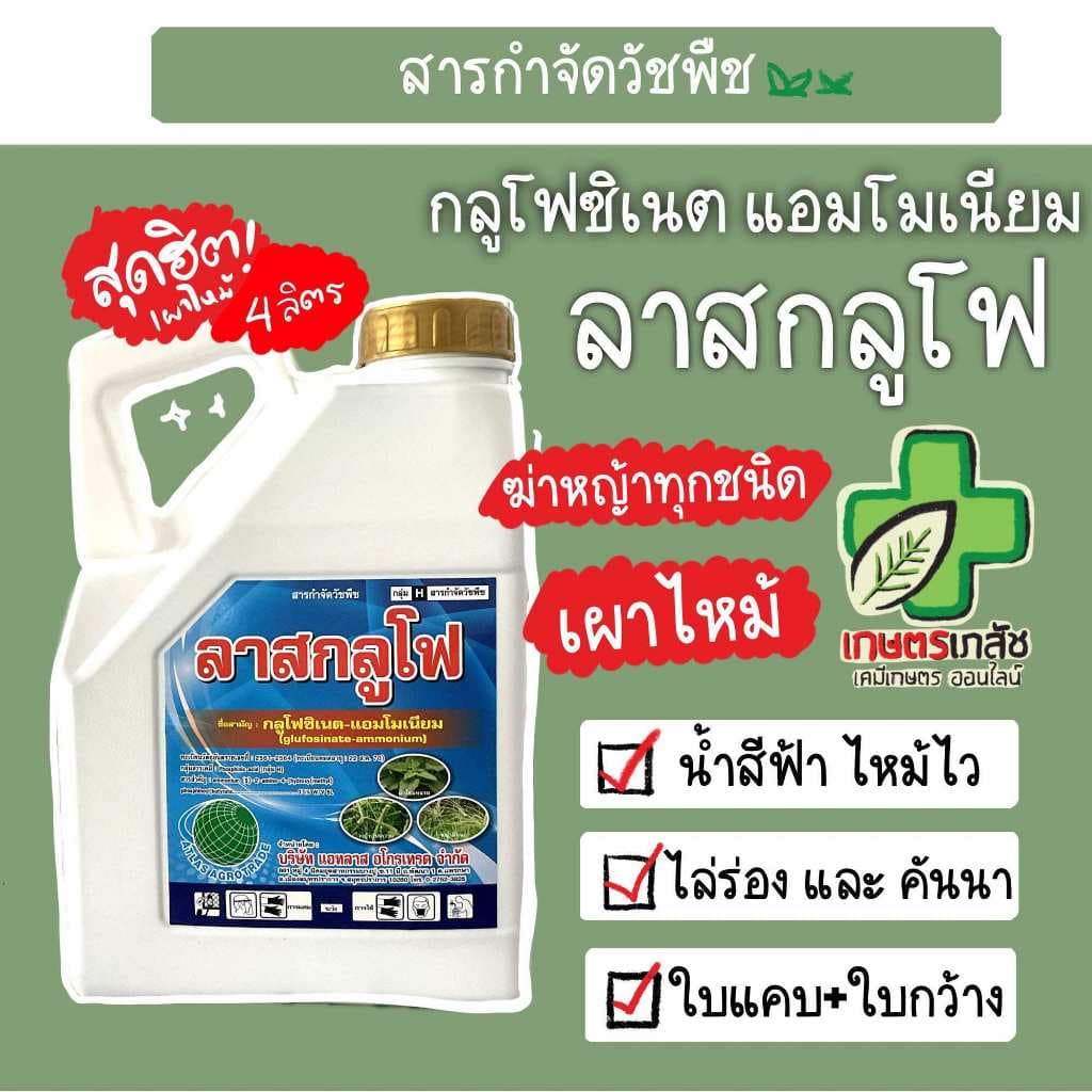 ! กลูโฟซิเนต แอมโมเนียม ลาสกลูโฟ 4 ลิตร เผาไหม้ กำจัดหญ้า รูปที่ 1