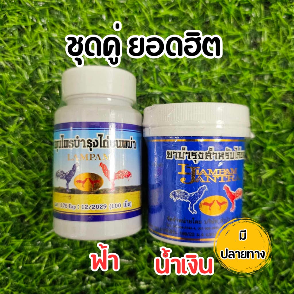 ชุดเลี้ยงไก่ชน สมุนไพโสม+สมุนไพรไก่ชนพม่า ลำปำ อาหารไก่ชน 100 เม็ด ชุดสุดฮิต รูปที่ 1