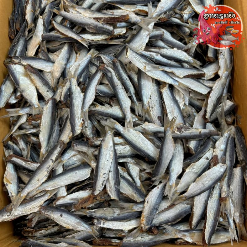 ปลาแชลั้น ‼ครึ่งกิโล‼ ตากแห้ง สดใหม่ อร่อย ออร์แกนิก รูปที่ 6