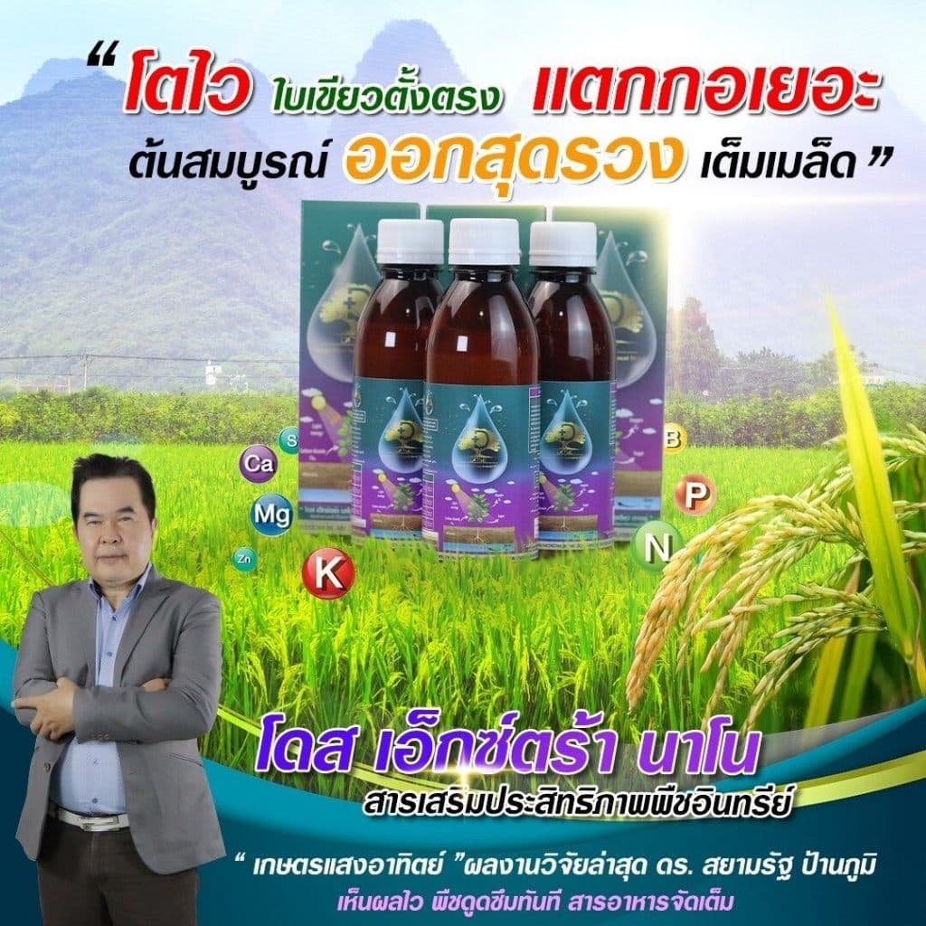 โดสเอ็กซ์ตร้านาโน โดส Dose extra nano ฮอร์โมนพืช อาหารเสริมพืช เร่งต้น เร่งผล เร่งโต รูปที่ 2