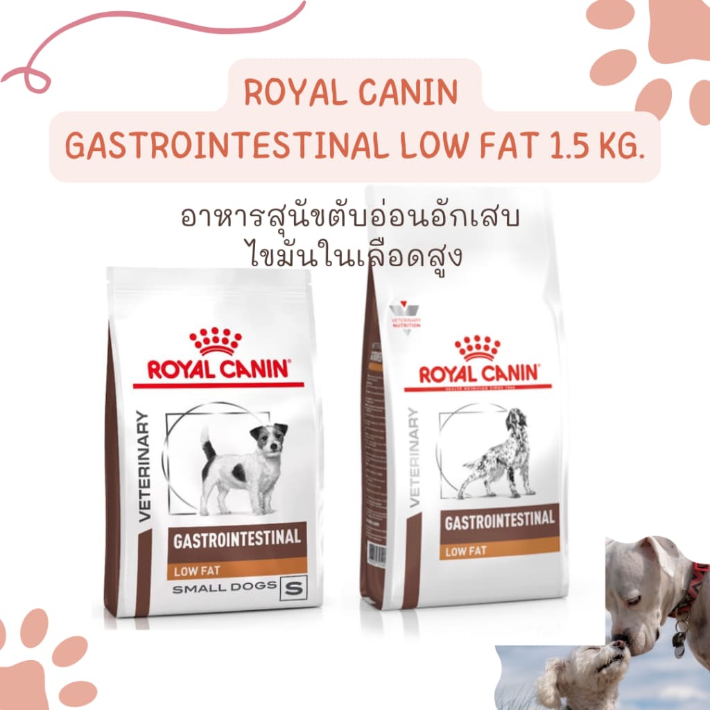 exp03/2027 Royal Canin Gastrointestinal lowfat dog อาหารเม็ด สุนัขตับอ่อนอักเสบ หรือ ไขมันในเลือดสูง 1.5, 3.5กก รูปที่ 1