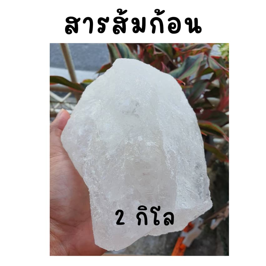 สารส้ม 2 กิโลกรัมชนิดก้อน แกว่งน้ำใส ระงับกลิ่นกาย สารแกว่งน้ำ สารส้มละลายน้ำล้างถั่วงอก รูปที่ 3
