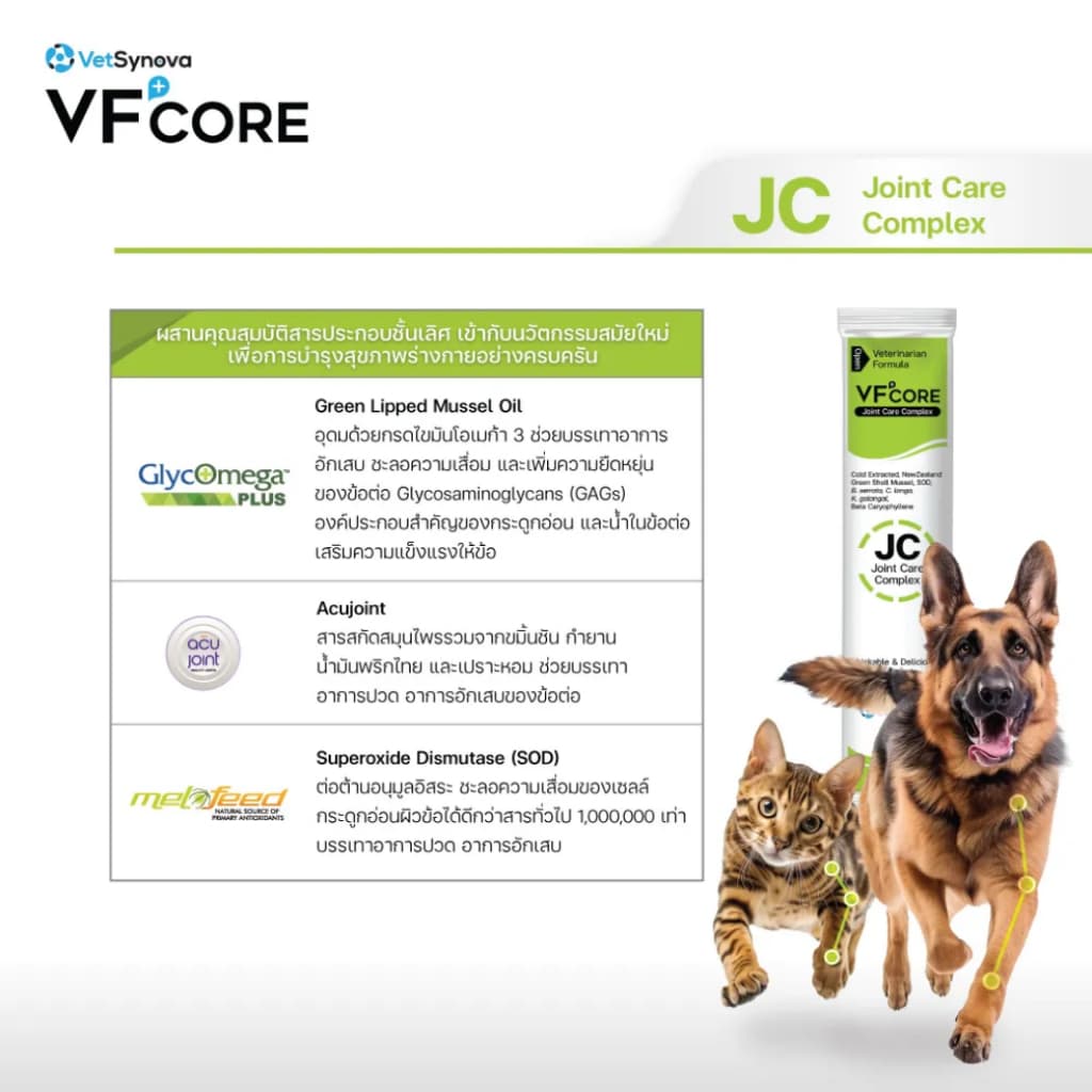 VF+Core วีเอฟ คอร์ เสริมสร้างและบำรุงสุนัขและแมว ตั้งแต่ 2 เดือนขึ้นไป ขนาด 12g. รูปที่ 3