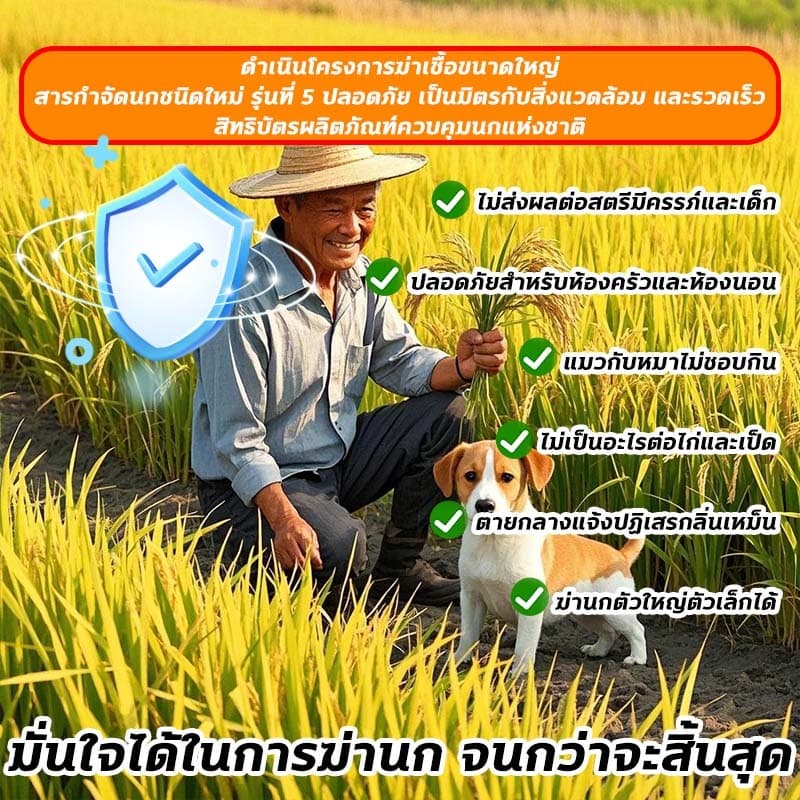 บอกลาขี้นกที่กวนใจเหยื่อกำจัดนก นำเข้าจากเยอรมัน ตายแห้งไม่เหม็น ยาเบื่อนก เหยื่อกำจัดนกพิราบ ยากำจัดนกพิราบ ไล่นก รูปที่ 7