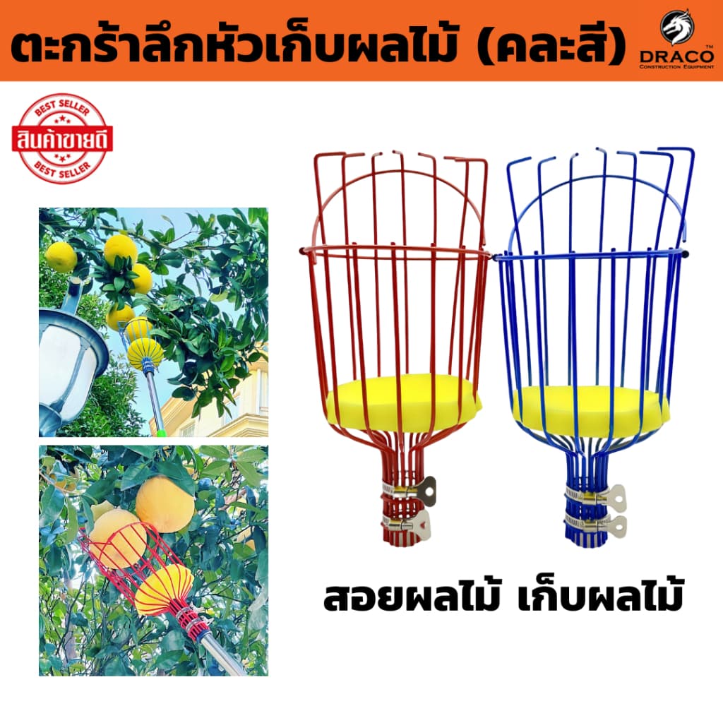 ตะกร้าลึกหัวเก็บผลไม้ สะดวกผลไม้ สอยผลไม้ เก็บผลไม้ เก็บผลไม้ รูปที่ 1