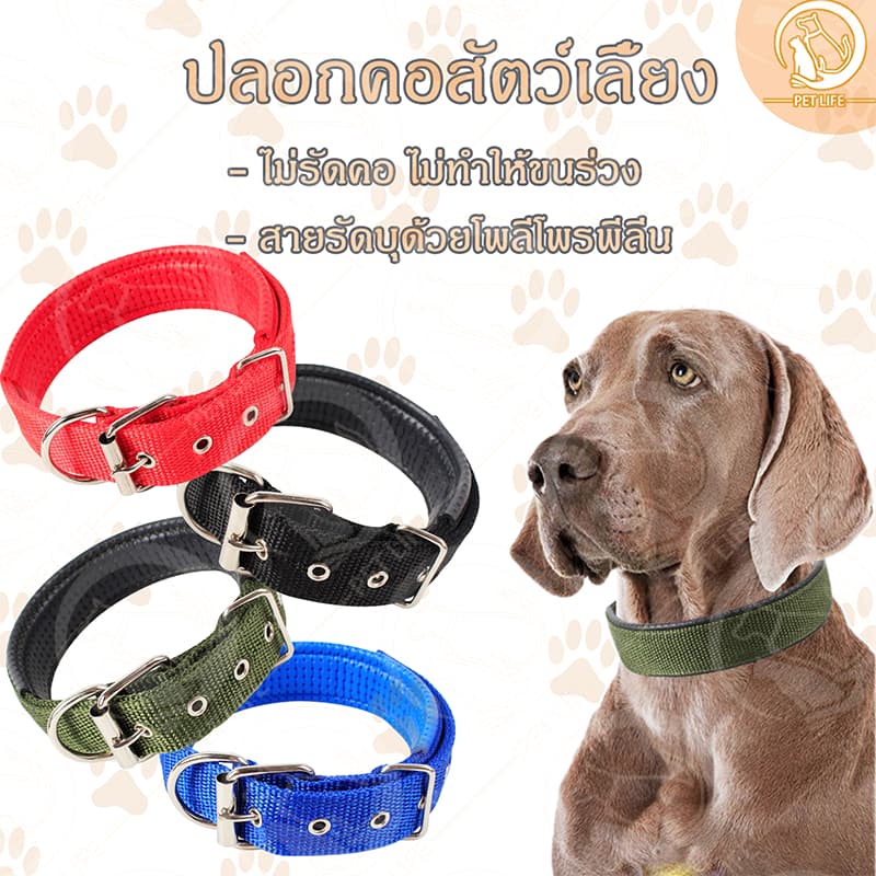 PET LIFE ปลอกคอสัตว์เลี้ยง ปลอกคอสุนัข ปลอกคอแมว แบบไนล่อน มี 4 ขนาด 4 สีให้เลือก แบบไนล่อน รูปที่ 1