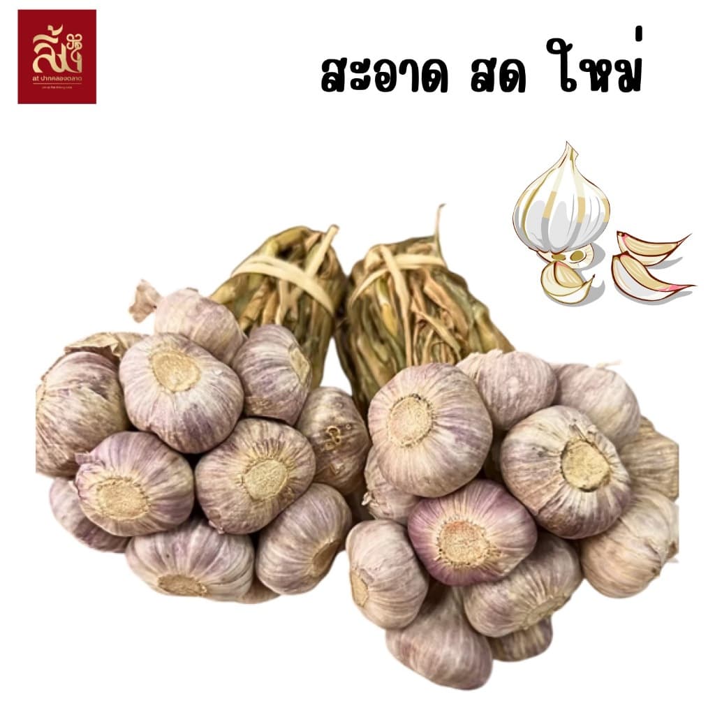 กระเทียมไทยจุก ขนาด 1กิโล รูปที่ 3