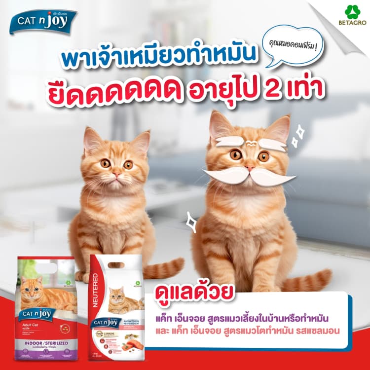 Cat N Joy Neutered Salmon อาหารแมว แมวโต ทำหมัน ไขมันต่ำ แซลมอน ขนาด 1.2 kg รูปที่ 2