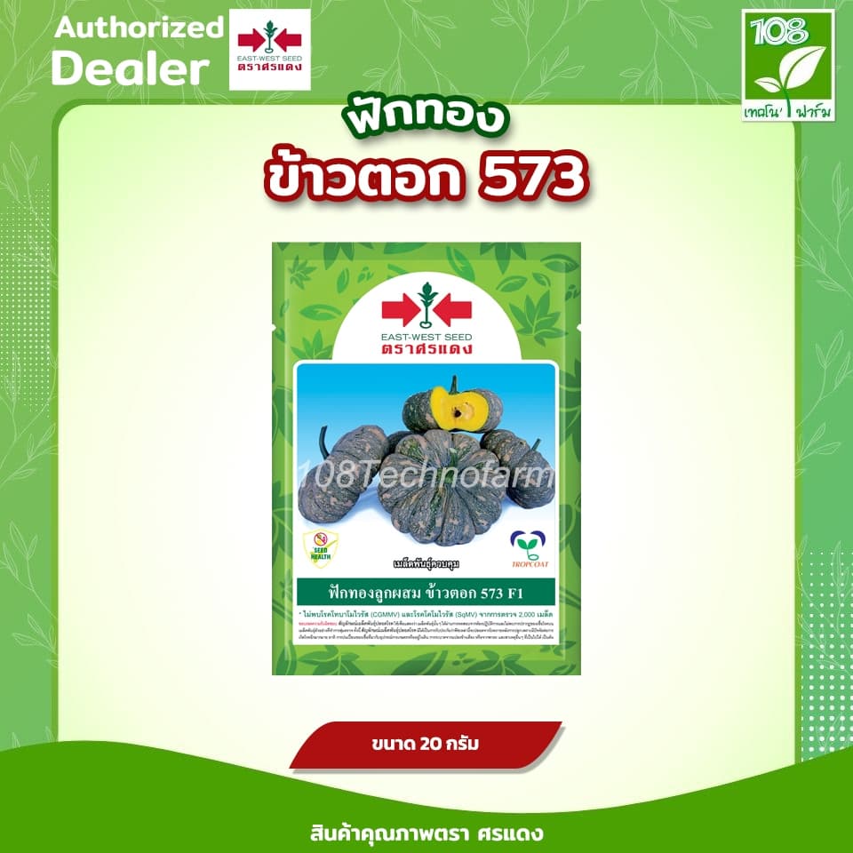 เมล็ดพันธุ์ ฟักทอง ลายข้าวตอก 573 ตราศรแดง ขนาด 20 กรัม รูปที่ 1