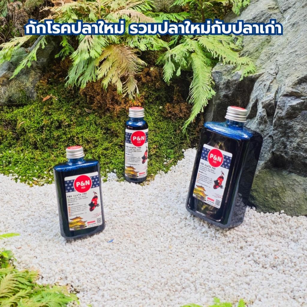 Gผลิตภัณฑ์สำหรับปลาคาร์ฟและปลาสวยงาม 100cc-500 cc รูปที่ 3