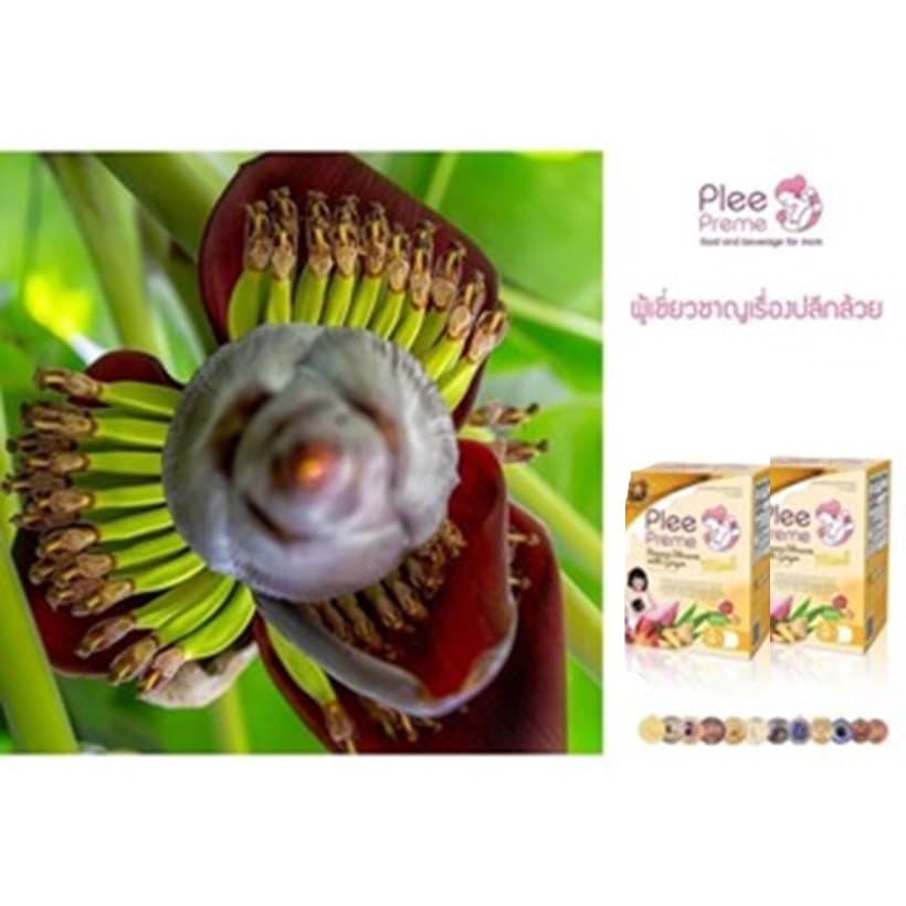 Plee Preme Banana Blossom พลีพรีม หัวปลี น้ำนม แบบปลีขิง ชนิดผงพร้อมชง รูปที่ 4
