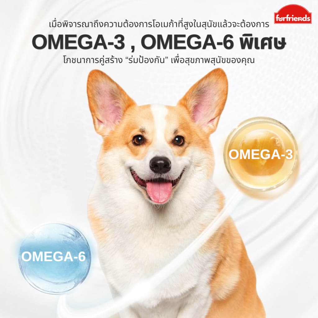 furfriends แซลมอนออยล์ บำรุงขน สุขภาพดี เสริมภูมิให้สัตว์เลี้ยง น้ำมันปลาแซลมอน แท้100% เกรดพรีเมียม น้ำมันปลา fish oil รูปที่ 5