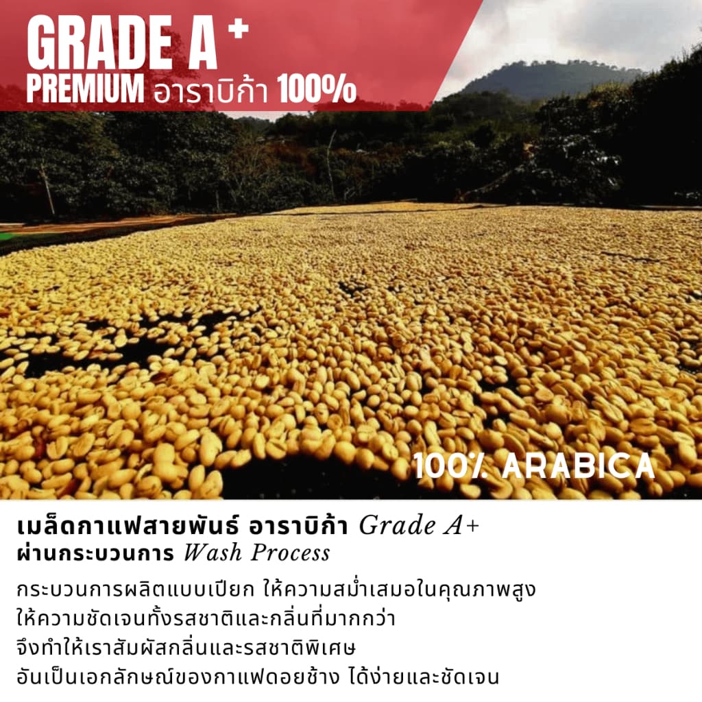 เมล็ดกาแฟดอยช้างเกรดพรีเมี่ยมA+ กาแฟอราบิก้า100 % คั่วใหม่ เมล็ดกาแฟสดคั่วบด สูตรเบลนด์อาราบิก้า คั่วกลาง+คั่วเข้ม 250g รูปที่ 4
