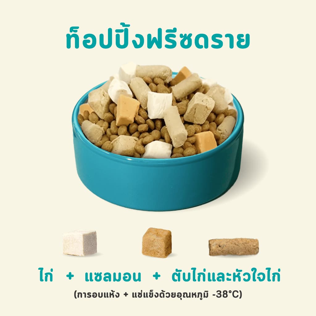 Bite Of Wild P42 อาหารแมว 1KG Grain Free โปรตีน 42% 3 เนื้อฟรีซดราย ไก่ปลาแซลมอนเนื้อปลา สำหรับแมวทุกช รูปที่ 5