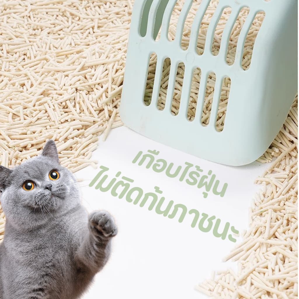 6L ทรายแมวเต้าหู้ขจัดกลิ่น ผลิตจากกากถั่วเหลืองธรรมชาติ ทรายแมว Cat Litter ทรายแมวเต้าหู้ รูปที่ 5
