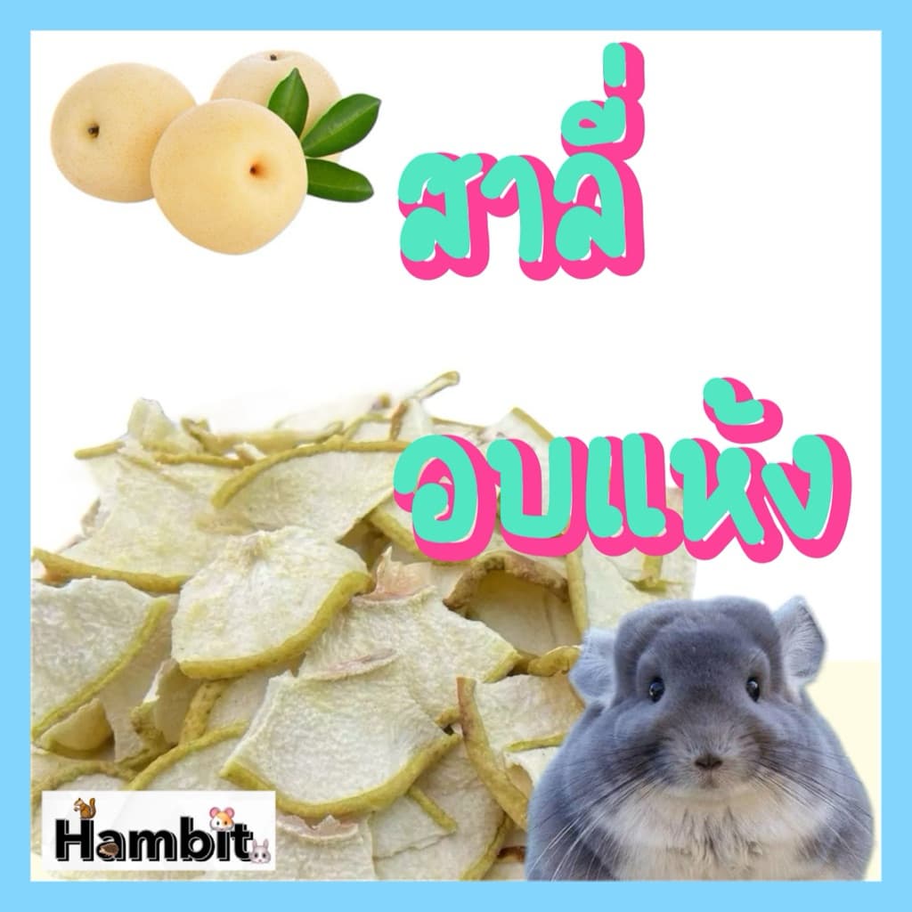 สาลี่สไลด์อบแห้ง สำหรับสัตว์ฟันแทะ ขนาด 20 กรัม | ราคาเพียง 20 บาทเท่านั้น! รูปที่ 1