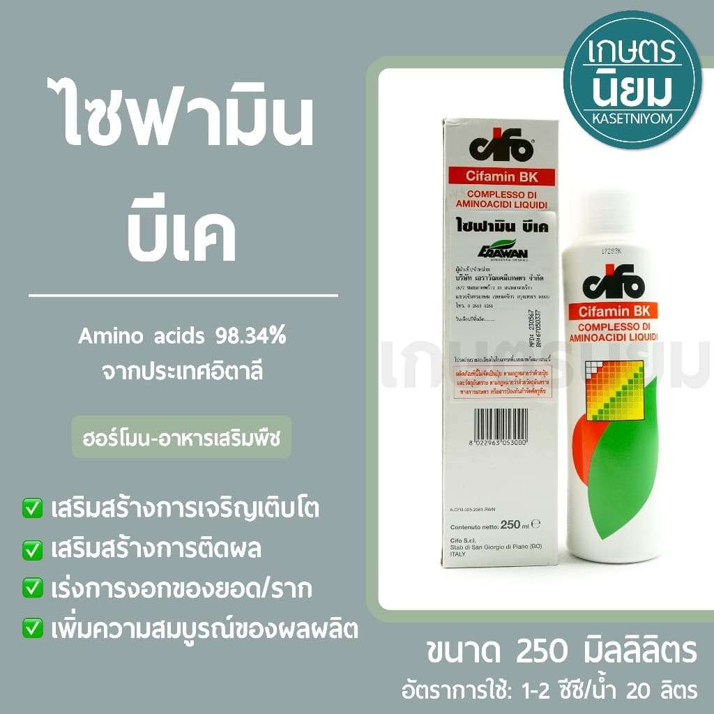 ไซฟามิน บีเค 250 มิลลิลิตร รูปที่ 1