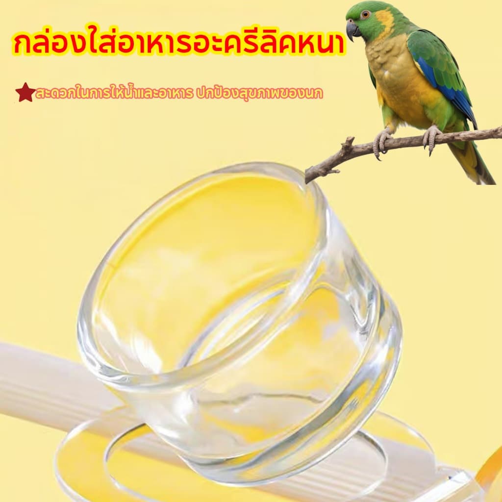 99PET คอนยืนนกแก้ว พร้อมถาดรอง + ถ้วยอาหาร ถอดล้างง่าย แข็งแรง ทนทาน สำหรับนกขนาดเล็ก-กลาง รูปที่ 4