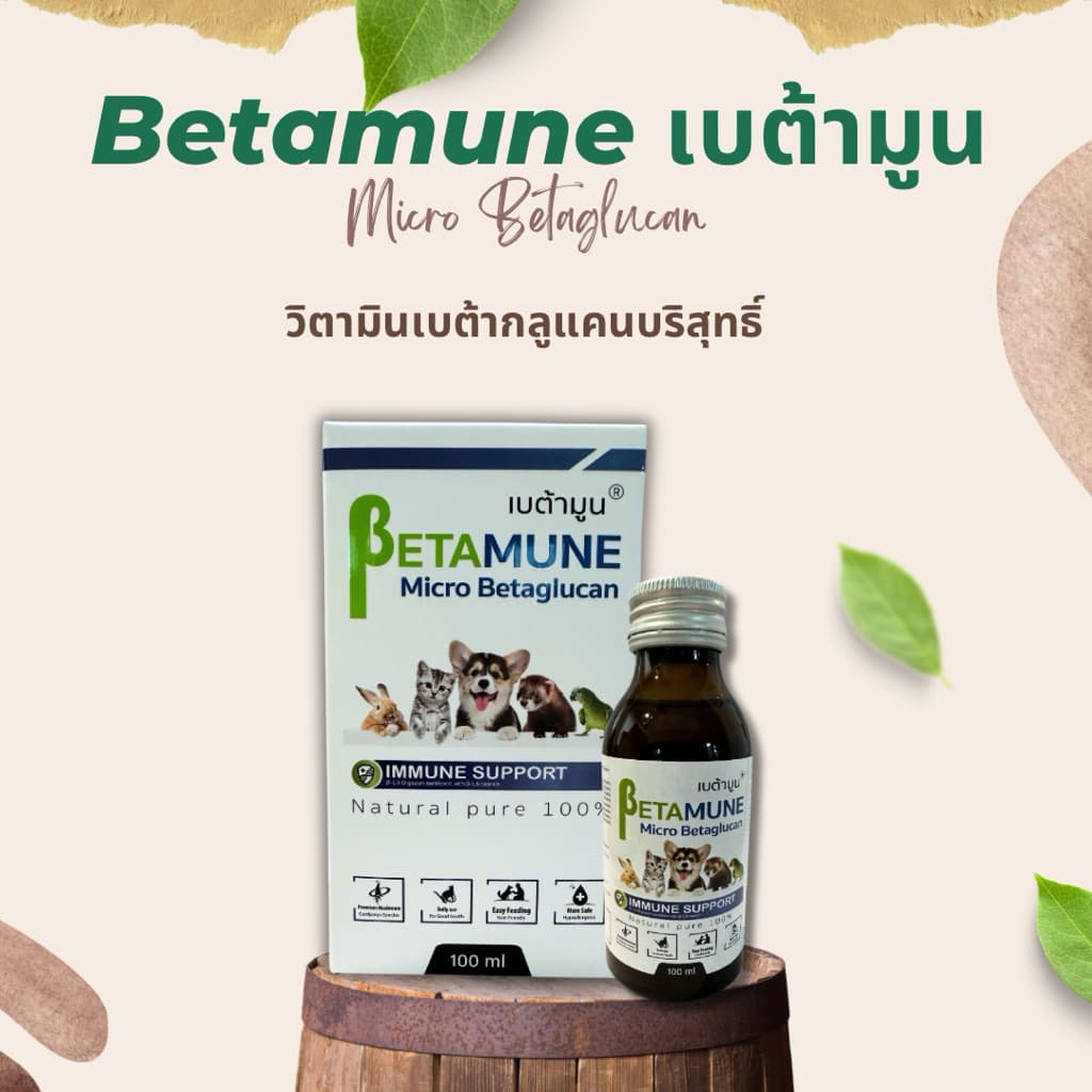 Betamune เบต้ามูน ล๊อตใหม่มีกล่อง ของแท้ตัวแทนจำหน่ายตรง กระตุ้นภูมิสุนัข แมว เอ๊กโซติคเพ็ท ช่วยบำรุงร่างกาย ไม่ป่วยง่าย รูปที่ 1