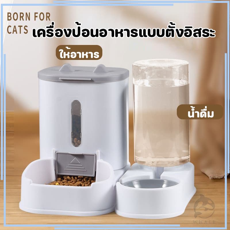 เครื่องให้น้ำ ที่ให้น้ำอัตโนมัติ เครื่องให้อาหารให้น้ำแมวอัตโนมัติ ลิตร ที่ให้อาหารอัตโนมัติ เครื่องให้อาหาร รูปที่ 1