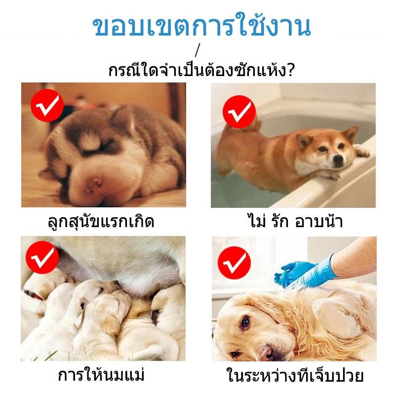แป้งอาบน้ำแห้ง แป้งอาบน้ําแมว กําจัดเห็บหมัดสุนัข ดับกลิ่นตัวสัตว์เลี้ยง รูปที่ 4