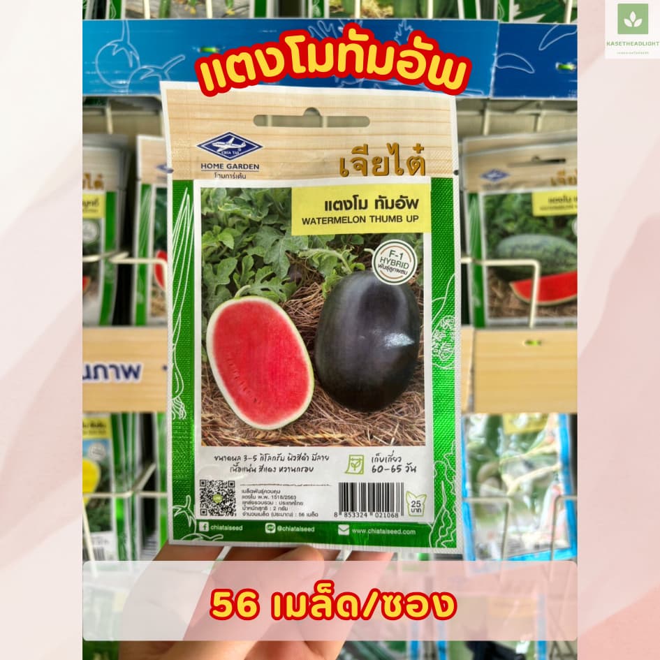 ซองเล็ก มีครบ เมล็ดพันธุ์แตงโม เจียไต๋ ซอนญ่า เมญ่า ทัมอัพ แบล็คบอมบ์ รันรัน แตงโมไร้เมล็ด รูปที่ 4