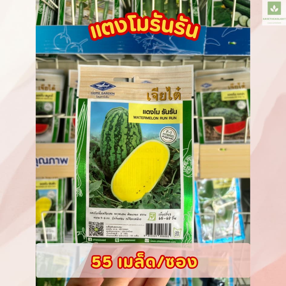 ซองเล็ก มีครบ เมล็ดพันธุ์แตงโม เจียไต๋ ซอนญ่า เมญ่า ทัมอัพ แบล็คบอมบ์ รันรัน แตงโมไร้เมล็ด รูปที่ 9
