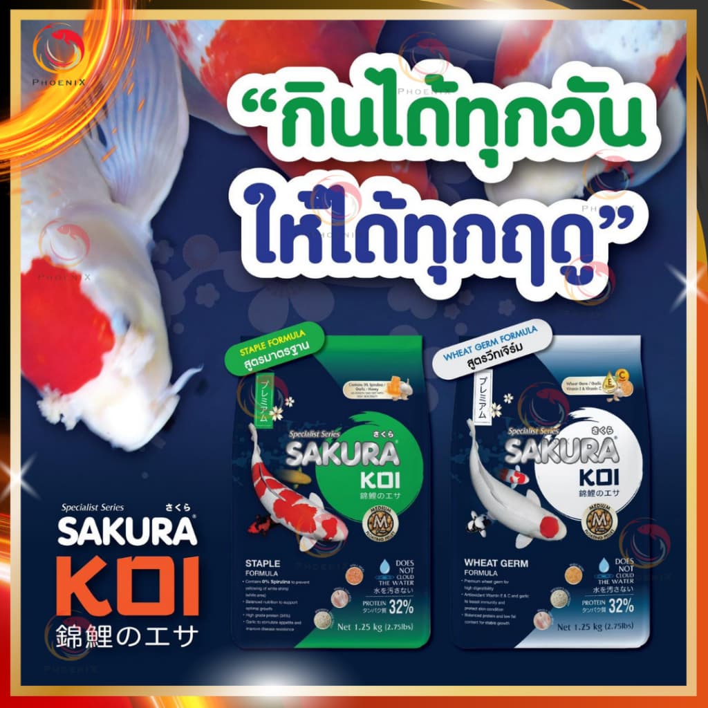 โปร +1กก.ในถุง หรือ แถมถุงเล็ก Sakura Koi อาหารปลาคาร์ฟ สูตร 2in1 เร่งโต+เร่งสี ขนาดถุง 6.5 kg. รูปที่ 7