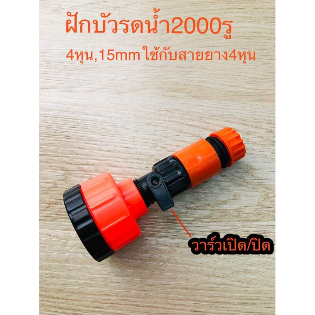 ฝักบัวรดน้ำ 1000 รู และ 2000 รู ขนาด 4หุน,5-6หุน ฝักบัวรดน้ำแคคตัส ฝักบัวรดน้ำบอนไซ ฝักบัวรดน้ำต้นไม้ รูปที่ 7