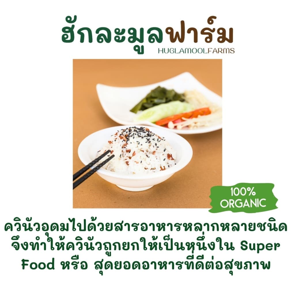 ควินัว ออร์แกนิค คั่วสุกพร้อมทาน 120กรัม ตราฮักละมูลฟาร์ม รูปที่ 4