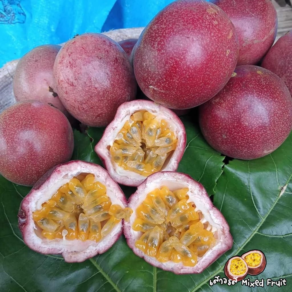 เสาวรส เนื้อแน่น สายพันธุ์โครงการหลวง คัดน้ำหนัก 61g. ขึ้นไป/ลูก รูปที่ 3