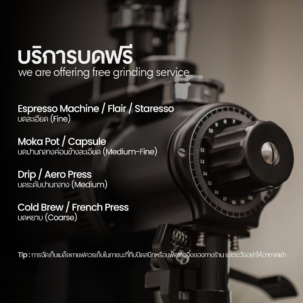 เมล็ดกาแฟ บอททอมเลส - House Blend คั่วอ่อน รูปที่ 5