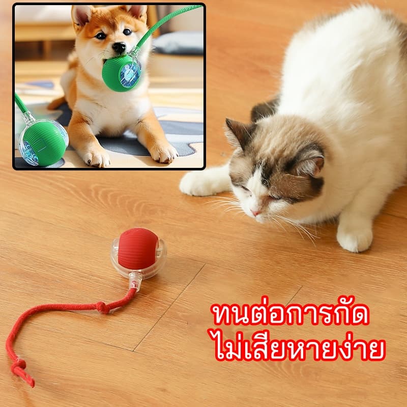 ลูกบอลแมว บอลแมวอัตโนมัติ ของเล่นแมว หมา สัตว์เลี้ยงลูกบอลสุนัข สมาร์ทไฟฟ้า หมุนได้ ของเล่นโต้ตอบ รูปที่ 1