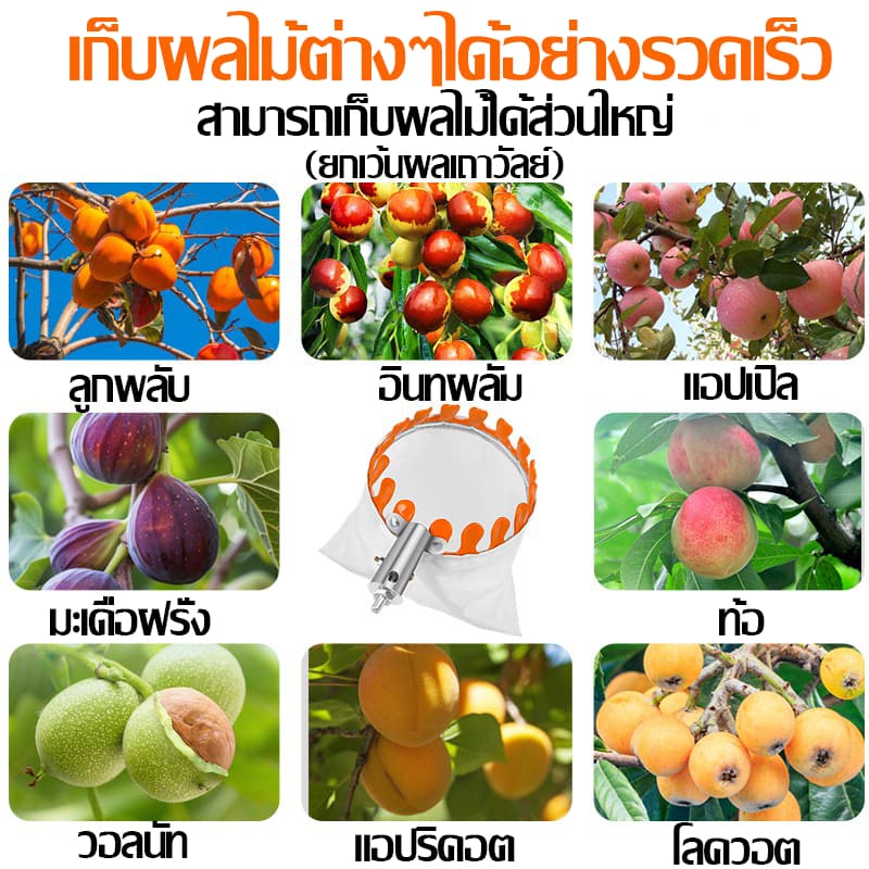 แตกหักเปลี่ยนใหม่ให้ตะกร้อสอยผลไม้ ตะกร้อสอยมะม่วง ด้ามยืดหดได้ 2.5/3/4/5/6/7/10M เก็บผลไม้ วัสดุสแตนเลส ที่สอยมังคุด รูปที่ 2
