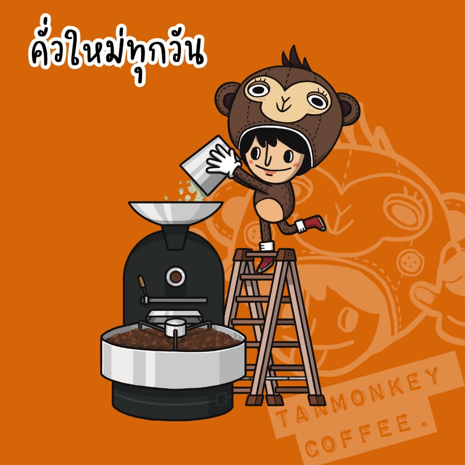 Tanmonkey Coffee เมล็ดกาแฟคั่ว Brazil Santos Coffee รูปที่ 6
