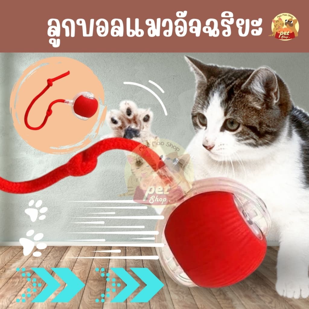 บอลแมวอัตโนมัติ หมุนได้ ชาร์ตแบตได้ โต้ตอบ เรืองแสง ของเล่นสําหรับสัตว์เลี้ยง รูปที่ 1