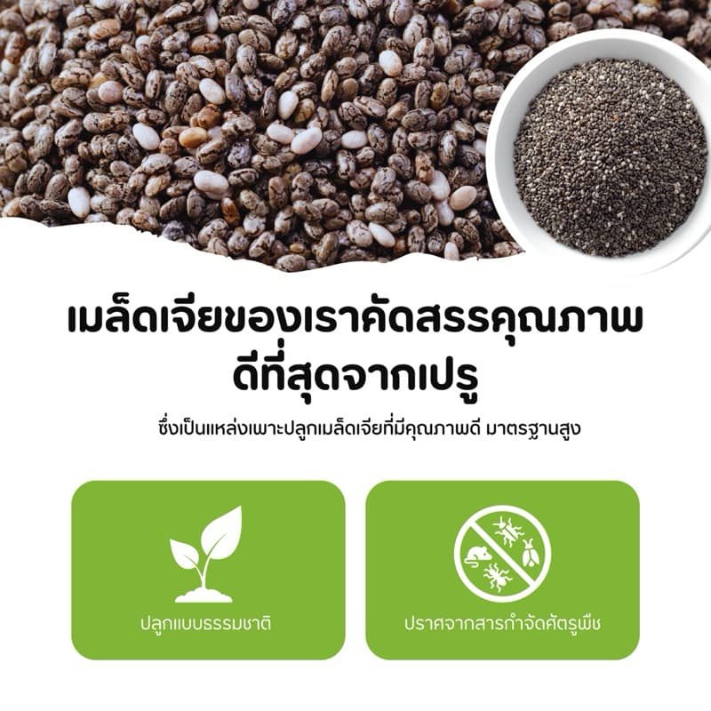 เมล็ดเจีย ออร์แกนิคแท้ 100% ไฟเบอร์สูง อิ่มนาน สุขภาพดี รูปที่ 2