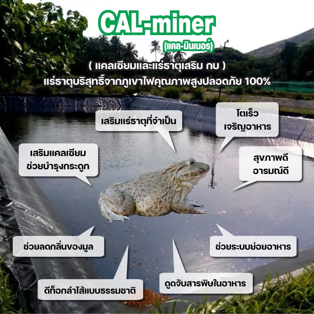 FrogSmileฟรอกสไมล์ ขนาด2,000กรัมอาหารเสริมกบเกรดพิเศษจากแร่ธาตุบริสุทธิ์คุณภาพสูงโตเร็ว/ลดตาย รูปที่ 2
