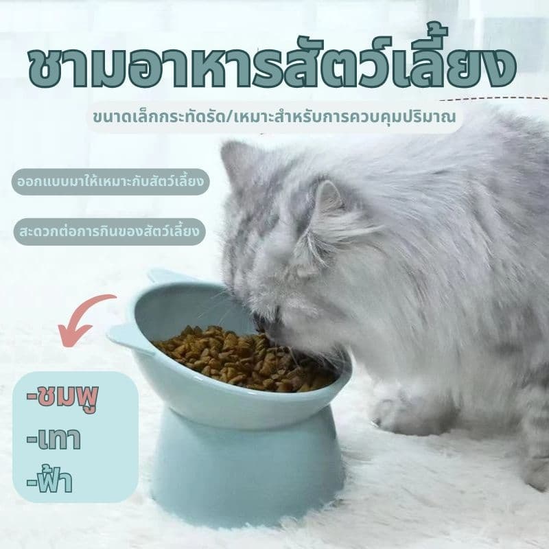 ชามอาหารสัตว์เลี้ยง ชามกันมด แมว ชามอาหารแมว ชามอาหารหมา ทรงเอียง 15 องศา ป้องกันกระดูกสันหลังคอ รูปที่ 1