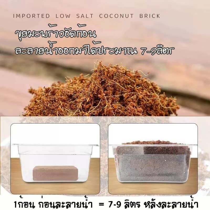 ขุยมะพร้าวอัดก้อน ปลูกต้นไม้ ดินปลูก พองตัวเร็ว 450g / 550g รูปที่ 8