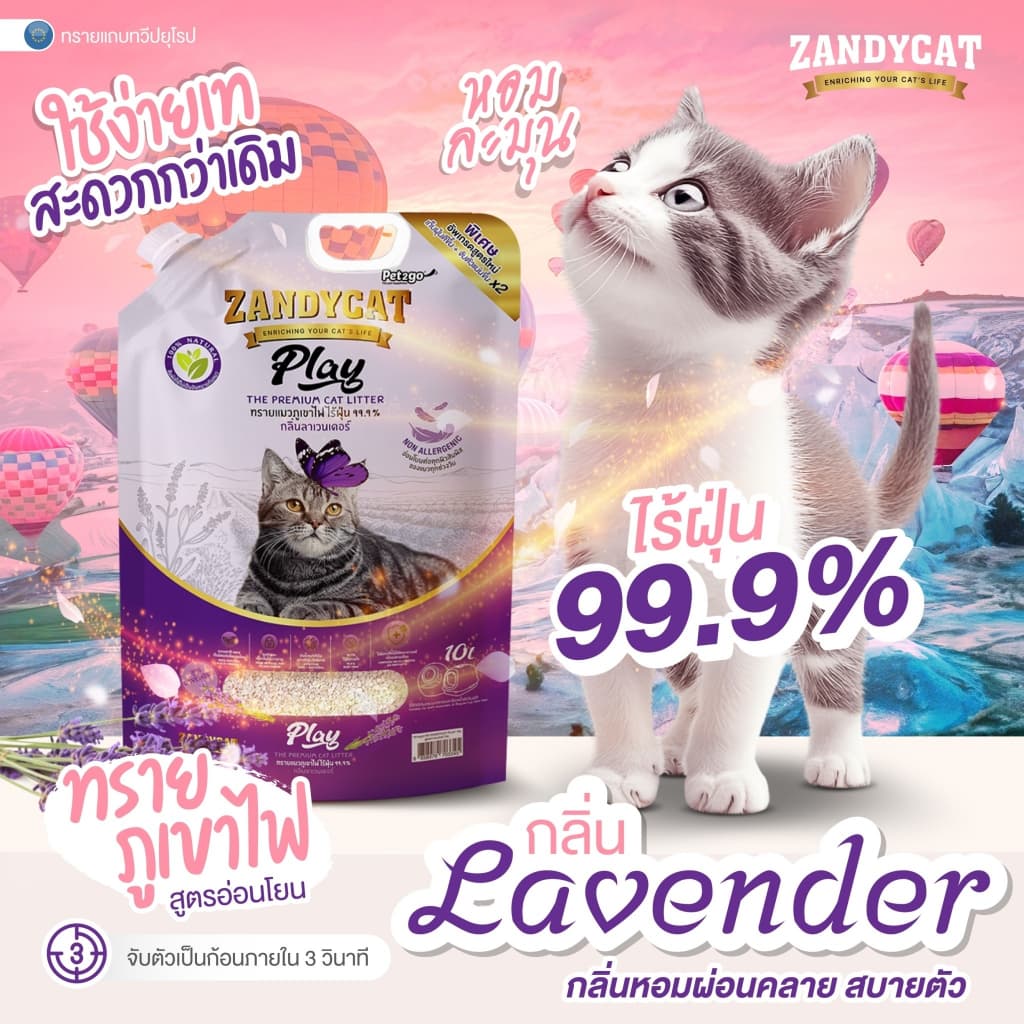 ทรายแมวภูเขาไฟ ZANDYCAT ทรายเบนโทไนต์ มีขนาด 6,10,12 ลิตร ทรายภูเขาพรีเมียม ไร้ฝุ่น เก็บกลิ่นดี จับตัวเป็นก้อนแน่น รูปที่ 4