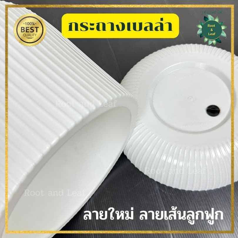 กระถางเบลล่าลายลูกฟูก กระถางพลาสติกมินิมอล ลายใหม่ลายเส้นลูกฟูก ขนาด 9 นิ้ว และ 11 นิ้ว เหมาะสำหรับตกแต่งบ้านแต่งคอนโด รูปที่ 6