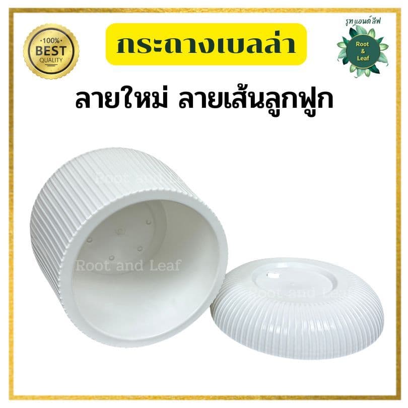 กระถางเบลล่าลายลูกฟูก กระถางพลาสติกมินิมอล ลายใหม่ลายเส้นลูกฟูก ขนาด 9 นิ้ว และ 11 นิ้ว เหมาะสำหรับตกแต่งบ้านแต่งคอนโด รูปที่ 4