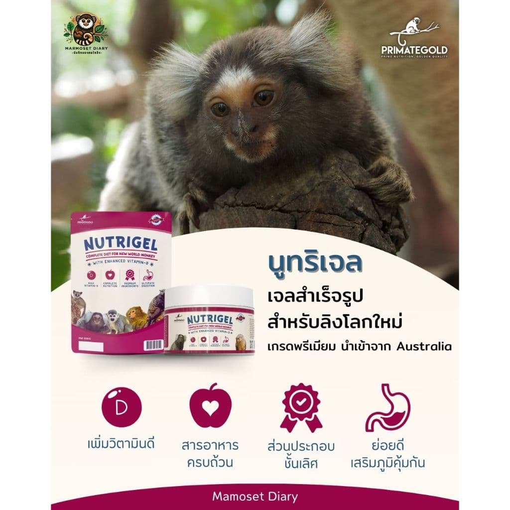 อาหารลิง NutriGel เจลลิง/อาหารแท่ง แคลเซียมลิง เหมาะกับมาโมเสท ทามารีน คาปูชิน ลิงกระรอก บุชเบบี้ นำเข้าจากออสเตรเลีย รูปที่ 5