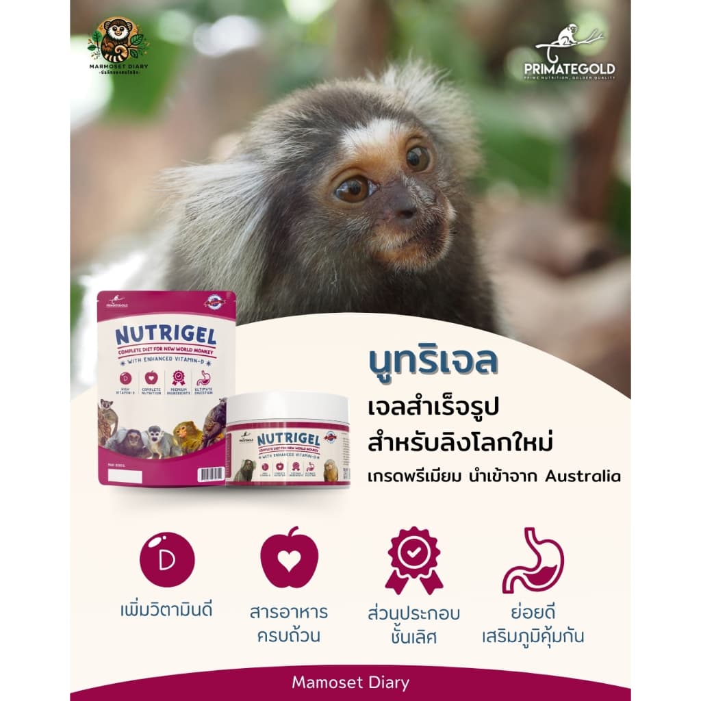 อาหารลิง NutriGel เจลลิง/อาหารแท่ง แคลเซียมลิง เหมาะกับมาโมเสท ทามารีน คาปูชิน ลิงกระรอก บุชเบบี้ นำเข้าจากออสเตรเลีย รูปที่ 1