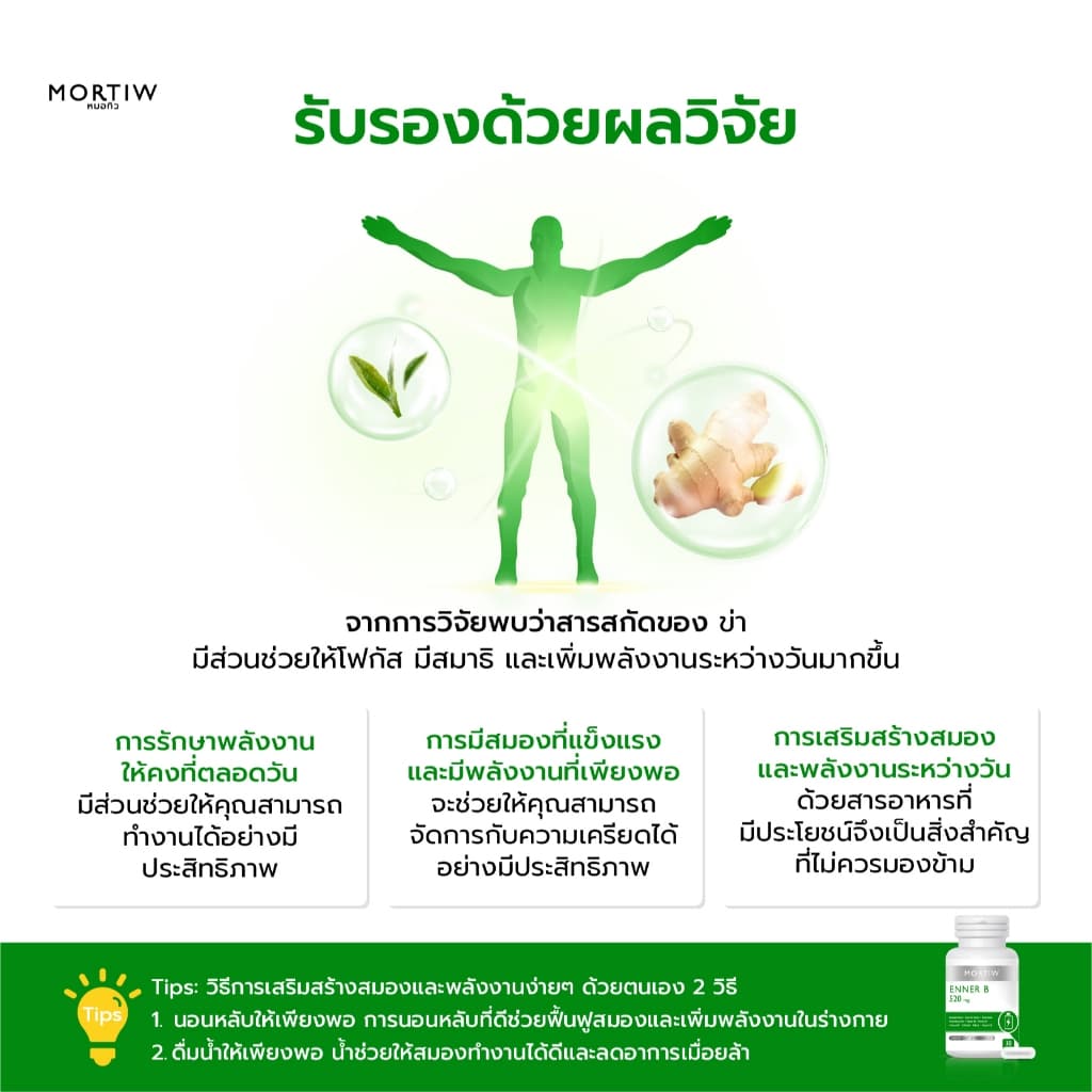 MORTIW หมอทิว ENNER B กระปรี้กระเปร่า เพิ่มพลังงาน ชูกำลัง เพิ่มแรง เอ็นเนอบี 30 แคปซูล 520 mg. รูปที่ 3